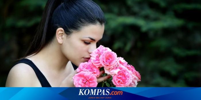 Arti Bunga Tanpa Daun Dalam Bahasa Gaul