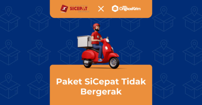 Cara Mengatasi Masalah Cek Resi Sicepat Halu