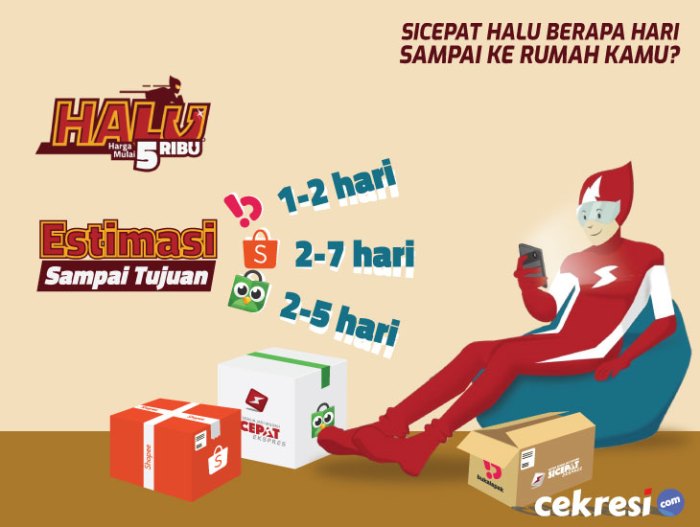 Tips Dan Trik Cek Resi Sicepat Halu Yang Efektif