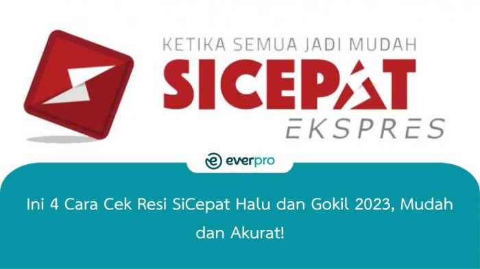 Aplikasi Pihak Ketiga Untuk Cek Resi Sicepat Halu