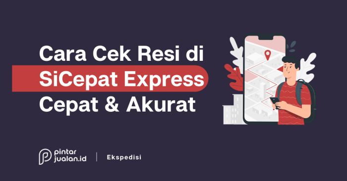 Tips Dan Trik Cek Resi Sicepat Halu Yang Efektif