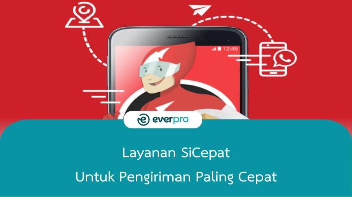 Tips Dan Trik Cek Resi Sicepat Halu Yang Efektif