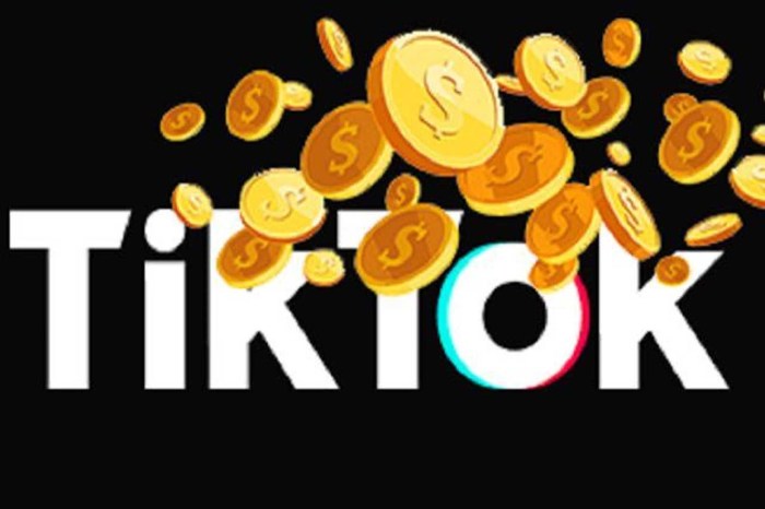 Aplikasi Top Up Koin Tiktok Dengan Metode Pembayaran Beragam