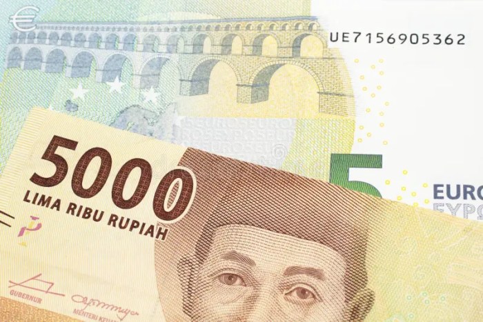 Kalkulator Konversi Mata Uang Euro Ke Rupiah