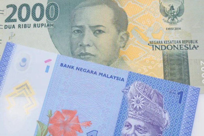 Ringgit malaysian banknotes withdrawn cash leftovercurrency exchange