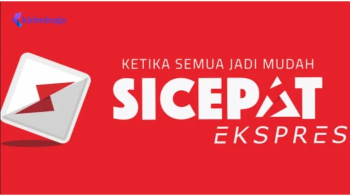 Website Resmi Cek Resi Sicepat Halu Terpercaya